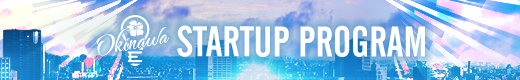 STARY UP PROGRAM