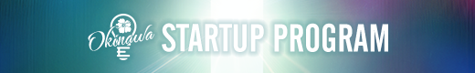 STARY UP PROGRAM